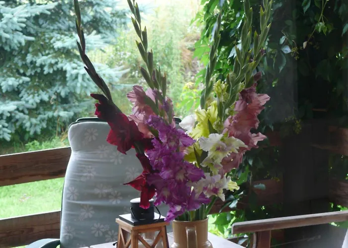 Zielonapogoda ホームステイ *